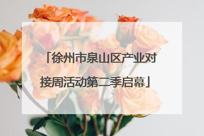 徐州市泉山区产业对接周活动第二季启幕