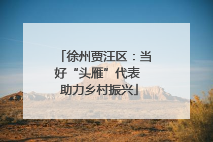 徐州贾汪区：当好“头雁”代表 助力乡村振兴