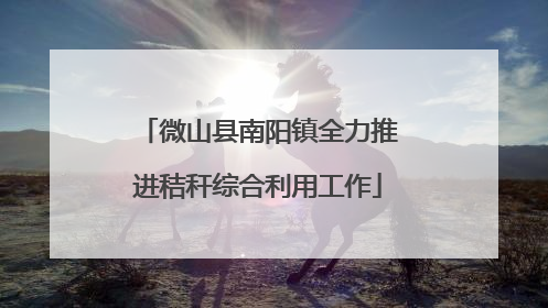 微山县南阳镇全力推进秸秆综合利用工作