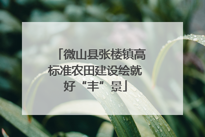 微山县张楼镇高标准农田建设绘就好“丰”景