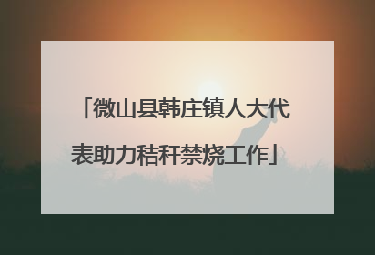 微山县韩庄镇人大代表助力秸秆禁烧工作