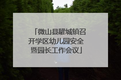 微山县驩城镇召开学区幼儿园安全暨园长工作会议