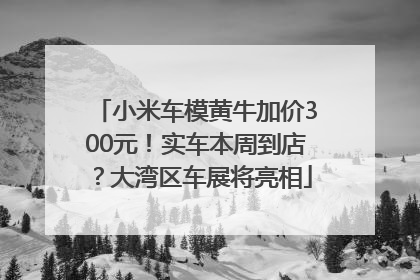 小米车模黄牛加价300元！实车本周到店？大湾区车展将亮相