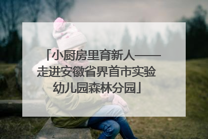 小厨房里育新人——走进安徽省界首市实验幼儿园森林分园