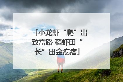 小龙虾“爬”出致富路 稻虾田“长”出金疙瘩