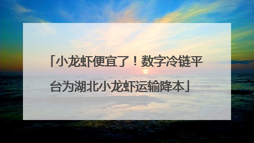 小龙虾便宜了！数字冷链平台为湖北小龙虾运输降本