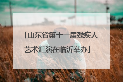 山东省第十一届残疾人艺术汇演在临沂举办