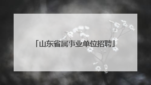 山东省属事业单位招聘