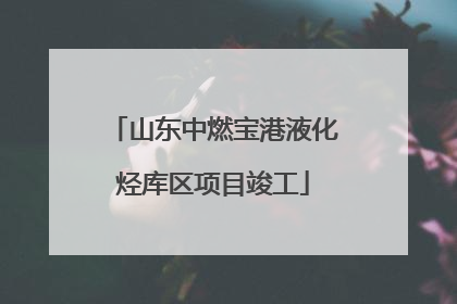 山东中燃宝港液化烃库区项目竣工