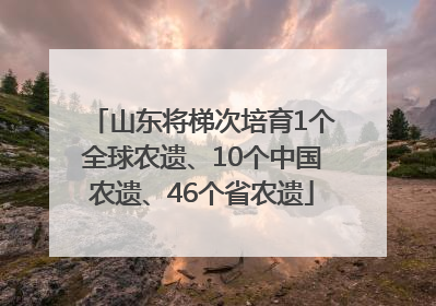 山东将梯次培育1个全球农遗、10个中国农遗、46个省农遗