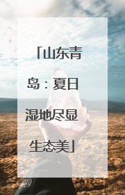 山东青岛：夏日湿地尽显生态美