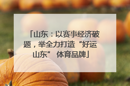 山东：以赛事经济破题，举全力打造“好运山东” 体育品牌