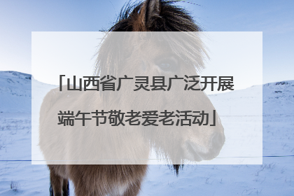 山西省广灵县广泛开展端午节敬老爱老活动