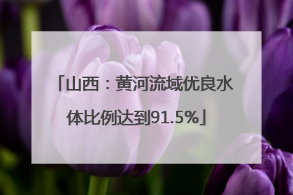 山西：黄河流域优良水体比例达到91.5%