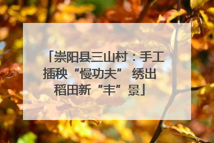 崇阳县三山村：手工插秧“慢功夫” 绣出稻田新“丰”景
