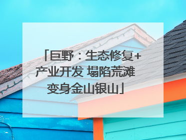 巨野：生态修复+产业开发 塌陷荒滩变身金山银山