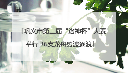 巩义市第三届“洛神杯”大赛举行 36支龙舟劈波逐浪