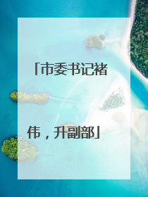市委书记褚伟，升副部