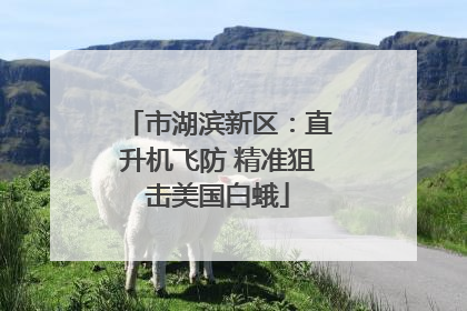 市湖滨新区：直升机飞防 精准狙击美国白蛾