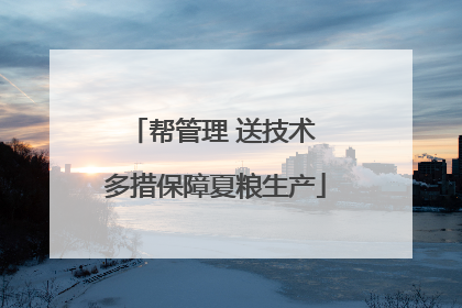 帮管理 送技术 多措保障夏粮生产