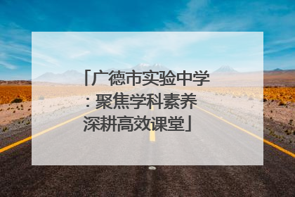 广德市实验中学：聚焦学科素养 深耕高效课堂