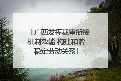 广西发挥裁审衔接机制效能 构建和谐稳定劳动关系