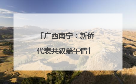 广西南宁：新侨代表共叙端午情