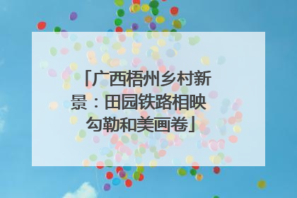 广西梧州乡村新景：田园铁路相映 勾勒和美画卷