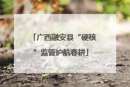 广西融安县“硬核”监管护航春耕