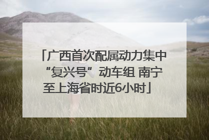 广西首次配属动力集中“复兴号”动车组 南宁至上海省时近6小时