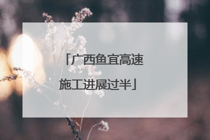 广西鱼宜高速施工进展过半