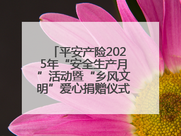 平安产险2025年“安全生产月”活动暨“乡风文明”爱心捐赠仪式在菏泽单县举行