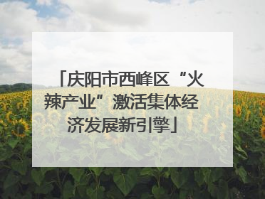 庆阳市西峰区“火辣产业”激活集体经济发展新引擎