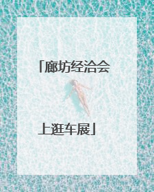 廊坊经洽会上逛车展