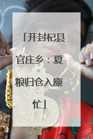 开封杞县官庄乡：夏粮归仓入廪忙