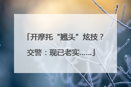 开摩托“翘头”炫技？交警：现已老实……