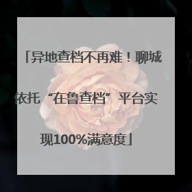 异地查档不再难！聊城依托“在鲁查档”平台实现100%满意度
