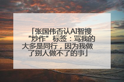 张国伟否认AI智搜“炒作”标签：骂我的大多是同行，因为我做了别人做不了的事