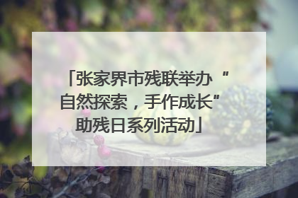 张家界市残联举办“自然探索，手作成长”助残日系列活动