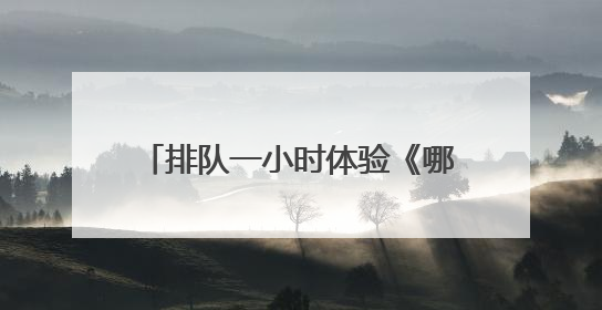 排队一小时体验《哪吒5DVR》，画面精美、舒适度待提升