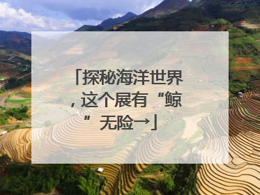 探秘海洋世界，这个展有“鲸”无险→