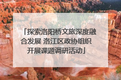 探索洛阳桥文旅深度融合发展 洛江区政协组织开展课题调研活动