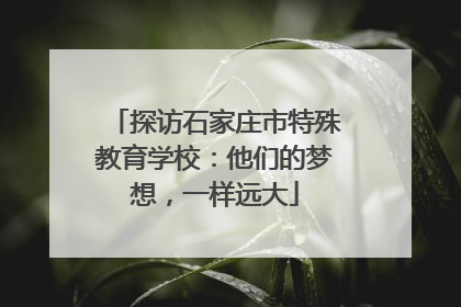 探访石家庄市特殊教育学校：他们的梦想，一样远大