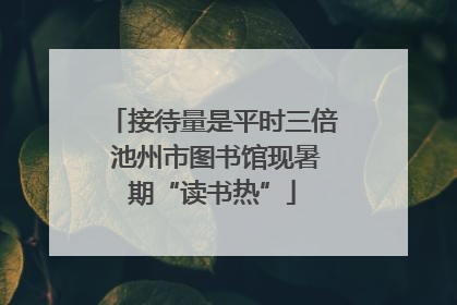 接待量是平时三倍 池州市图书馆现暑期“读书热”