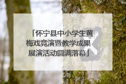 怀宁县中小学生黄梅戏竞演暨教学成果展演活动圆满落幕