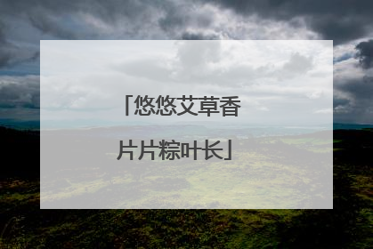 悠悠艾草香 片片粽叶长