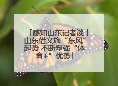 感知山东记者谈丨山东借文旅“东风”起势 不断塑强“体育+”优势