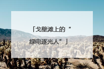 戈壁滩上的“绿电逐光人”