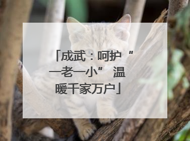 成武：呵护“一老一小” 温暖千家万户
