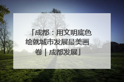 成都：用文明底色绘就城市发展最美画卷｜成都发展